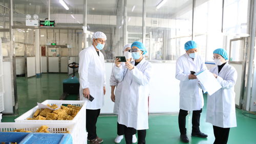 大連自貿片區推出食品生產加工“5G+AR”智慧監管新模式，賦能健康管理與咨詢